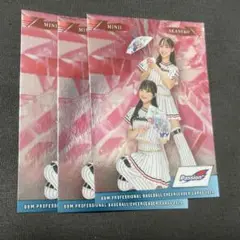 3枚すべて MINII AKANEKO インサート