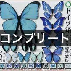 ドイツ箱 マグネットコレクション モルフォ蝶 特装版 コンプリート