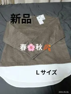トップス　新品　ブラウン系長袖カットソー 新品タグ付き　Ｌサイズ