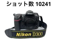 Item thumbnail for item 716c51a5-dd07-4e27-a539-f41cc894b556