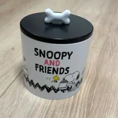 USJ スヌーピー お菓子の空き容器 クッキー缶 SNOOPY