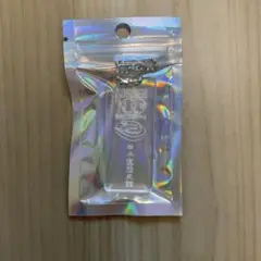 甲子園歴史館 甲子園100周年記念 アクリルキーホルダー