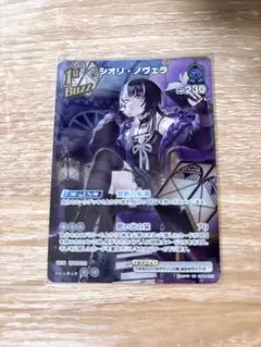 ホロカ　シオリ・ノヴェラUR