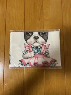 コヤンイサムチョン　バニーの１週間