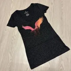 American EagleダークグレーVネックTシャツ バードプリント未着用品