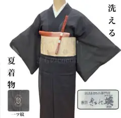 裄65.5cm☆きもの英 はなぶさ 夏物 絽 洗える長襦袢 爽やか