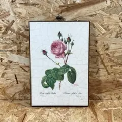 Item thumbnail for item f0a47ee8-5a1a-44bf-9850-85fdad594a8c