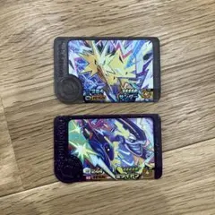 ポケモンフレンダサンダー、ミライドン