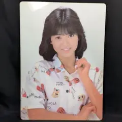 【美品】石川秀美　B5下敷　昭和アイドル