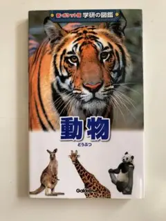動物