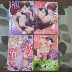 今夜、めちゃくちゃに抱きます 他セット