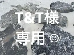 【美品】子供用浮き輪 青色 星柄⭐︎