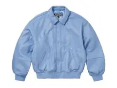 Item thumbnail for item f8ebdcbf-9f39-434a-9afe-223a053fa04b