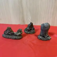 Item thumbnail for item 14001257-9374-4aca-9f4e-c25a4c5a5d07