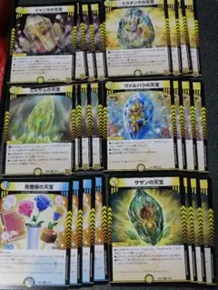 青薔薇　 サザン 　ヴァルハラ　ジャンヌ　　ミラダンテ　ミルザムの天宝　 各4枚