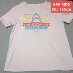 GAPKIDS　XXL　160cm 半袖　Tシャツ