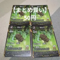 【蟲神器】ガムシ 4枚セット