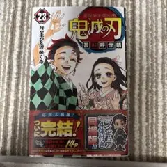 Item thumbnail for item 82c0a159-fcad-46c7-a388-87bf45fd79ce