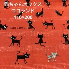黒猫　オックス　ココランド　110×200