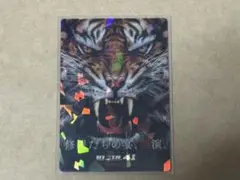 RIZIN ポテトスティック ポスターカードコレクション No.19