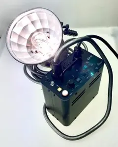Photona フォトナ ハロゲンランプ 240V200W Photona モデリングランプ (ハロゲン200w) フロスト 100V用