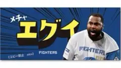 レイエス　「メチャエグイ」　レイエス語録タオル　北海道日本ハムファイターズ