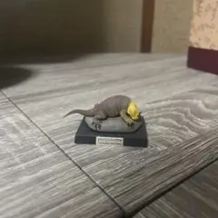 レプタイルズラウンジ ガラパゴスリクイグアナ ガチャ