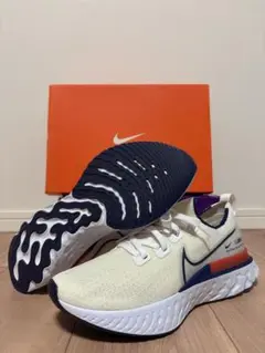 Nike React Infinity Run Flyknit