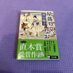 星落ちて、なお