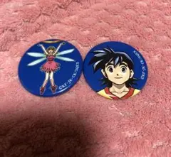 DQ天展 ロトの紋章 缶バッジ 2個セット 藤原カムイ