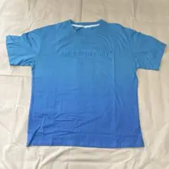 ANICEFINE DAY グラデーションブルー Tシャツ 半袖　Lサイズ