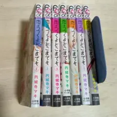 恋はつづくよどこまでも 全巻セット