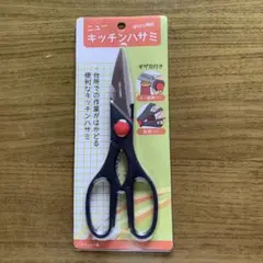 Item thumbnail for item 5875a631-f9f0-4c4a-965c-898566bc7298
