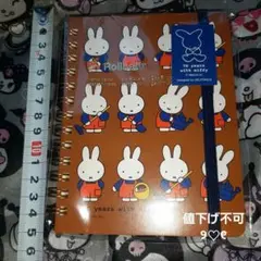 Item thumbnail for item 2e1ac257-7ed5-4db2-8c04-a95db24a641f