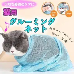 Item thumbnail for item 699ce8f5-4253-45e9-b897-78a43a163fd4