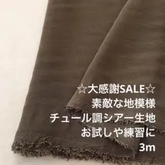 A3X/5385-01◆3m 感謝祭/ポリエステルシアー生地
