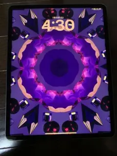 iPad Pro 12.9インチ　第5世代　スペースグレー　512GB WIFI