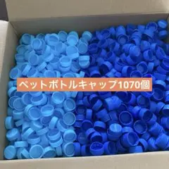 ペットボトルキャップ　約1070個まとめ売り