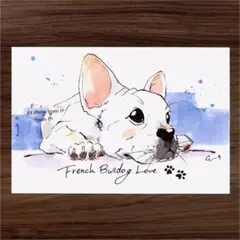 イラスト 原画 ポストカード 絵 【フレンチブルドッグ】60