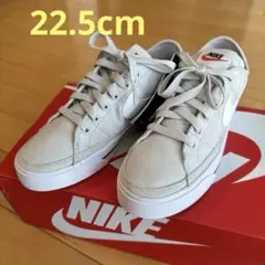 NIKE スニーカー 22.5cm (CZ0294-002)