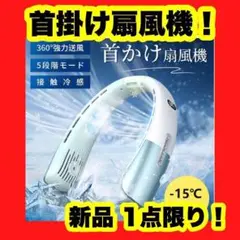 Item thumbnail for item 76f9c1dd-5a66-4e29-8a13-5f823818c02a