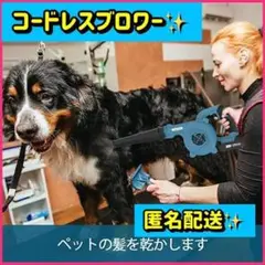 【使い方色々✨】ブロワー充電式 コードレスハイパワーブロアー 20V 洗車 清掃