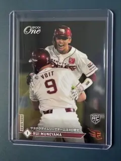 Item thumbnail for item 881008ad-2209-4d7a-9fd0-bc5f19b7b119