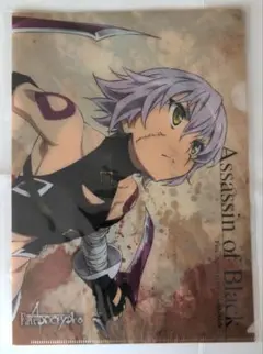 Fate/Apocrypha アサシン・オブ・ブラック A4クリアファイル