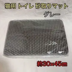 Item thumbnail for item dc0b10c3-d554-4983-97d0-9954b6ce7078