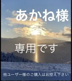 HERMESセリエ シェルイヤリング