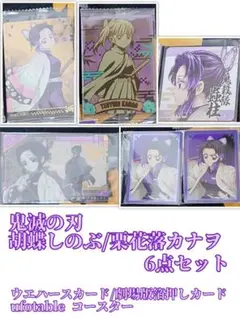 鬼滅の刃 胡蝶しのぶ/栗花落カナヲ 6点セット