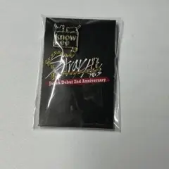 スキズオンラインくじ リノ ピンズ