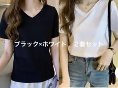 stlady 骨格ストレート　VネックシンプルTシャツ