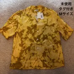 Item thumbnail for item 49798fb6-c11c-4702-bb14-889f7eca8d3a